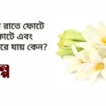 কিছু ফুল রাতে ফোটে রাতেই ফোটে এবং রাতেই ঝরে যায় কেন