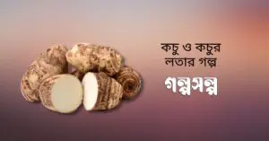 কচু-ও-কচুর-লতার-গল্প